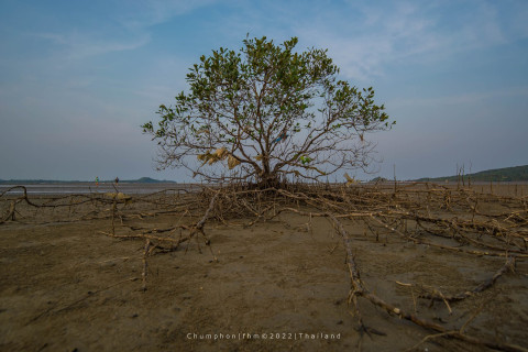 อ่าวพนังตัก (Ao Phanang Tak)