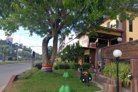 ยางพาราต้นแรกในไทย First Para Rubber in Thailand (First Para Rubber Tree in Thailand)