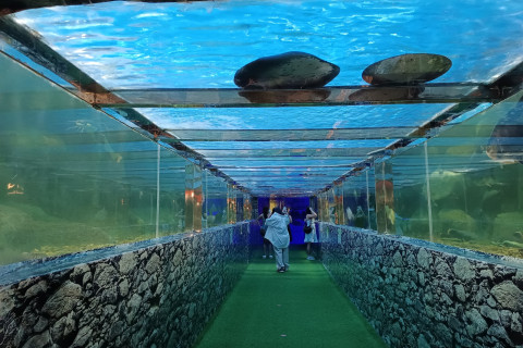 สัตว์แปลก monsters aquarium pattaya (Monsters Aquarium Pattaya) Photo 1 of 5
