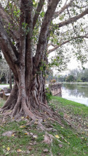 สวนขวัญเมือง (Suan Kwan Muang Park) Photo 3 of 5