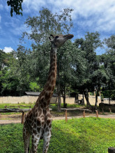 สวนสัตว์เชียงใหม่ (Chiang Mai Zoo)